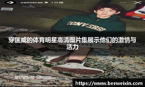 OB视讯