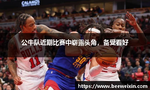 公牛队近期比赛中崭露头角，备受看好